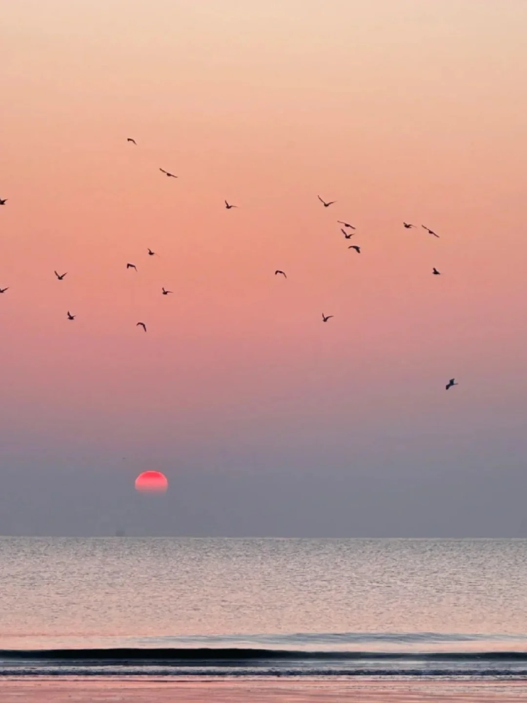听劝！🔥清明来秦皇岛的姐妹一定要注意！