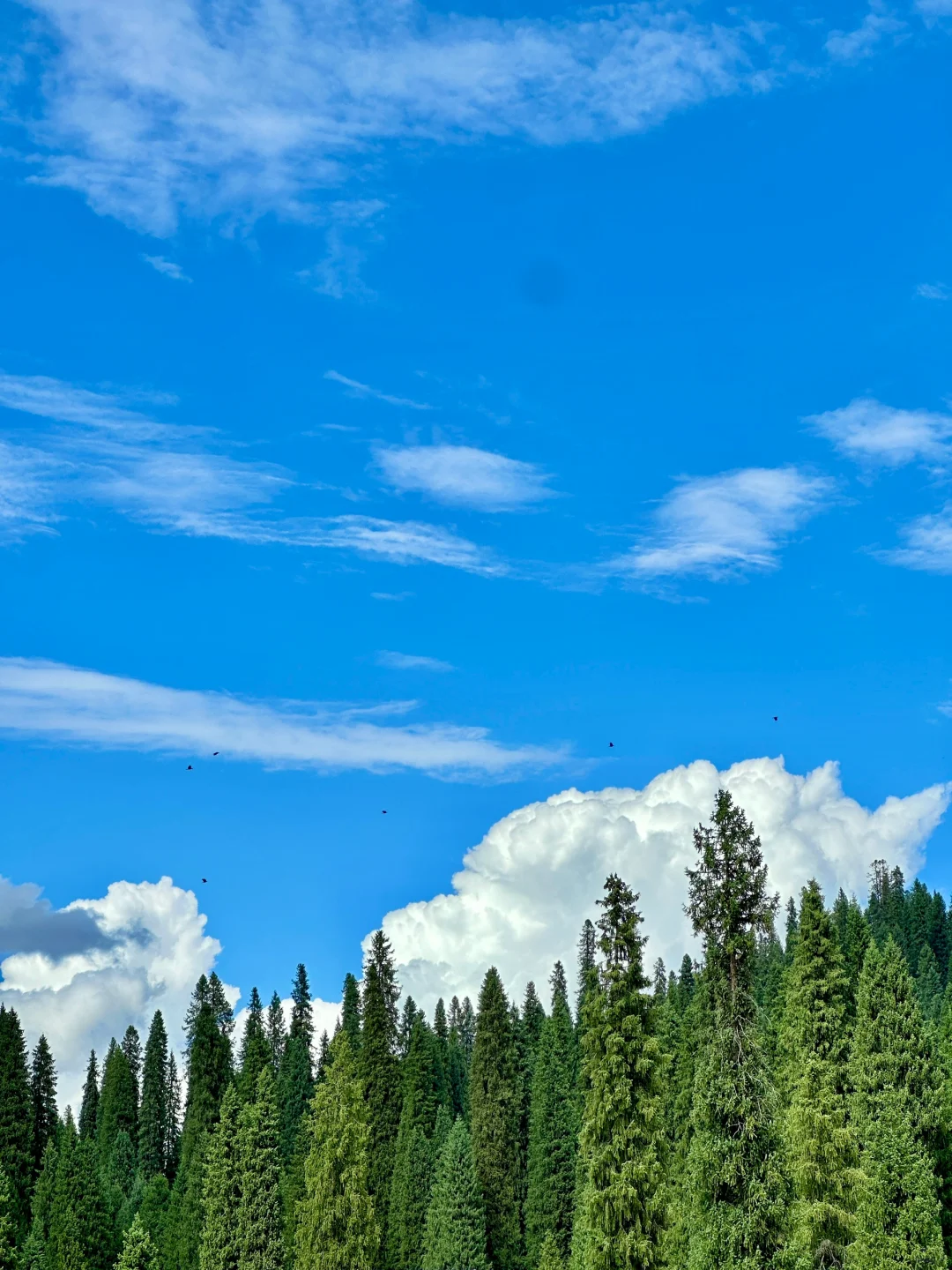 新疆已回,真的建议姐妹们一定要听劝…