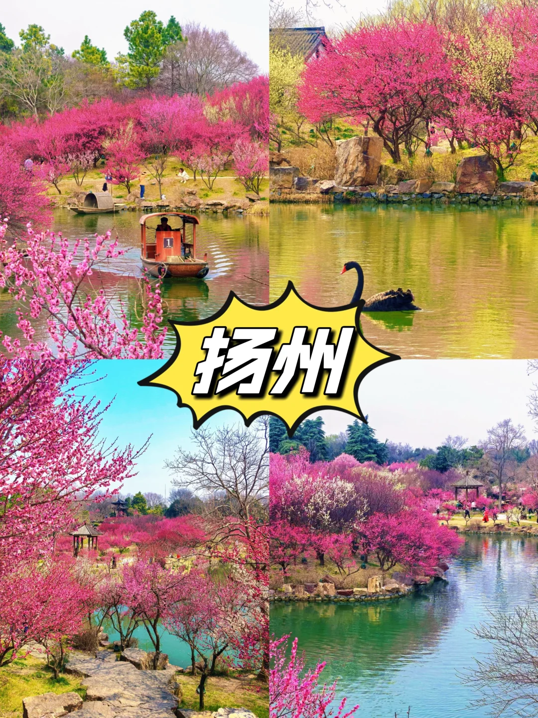 🌸适合春天小住两三天六个美丽城市🌸
