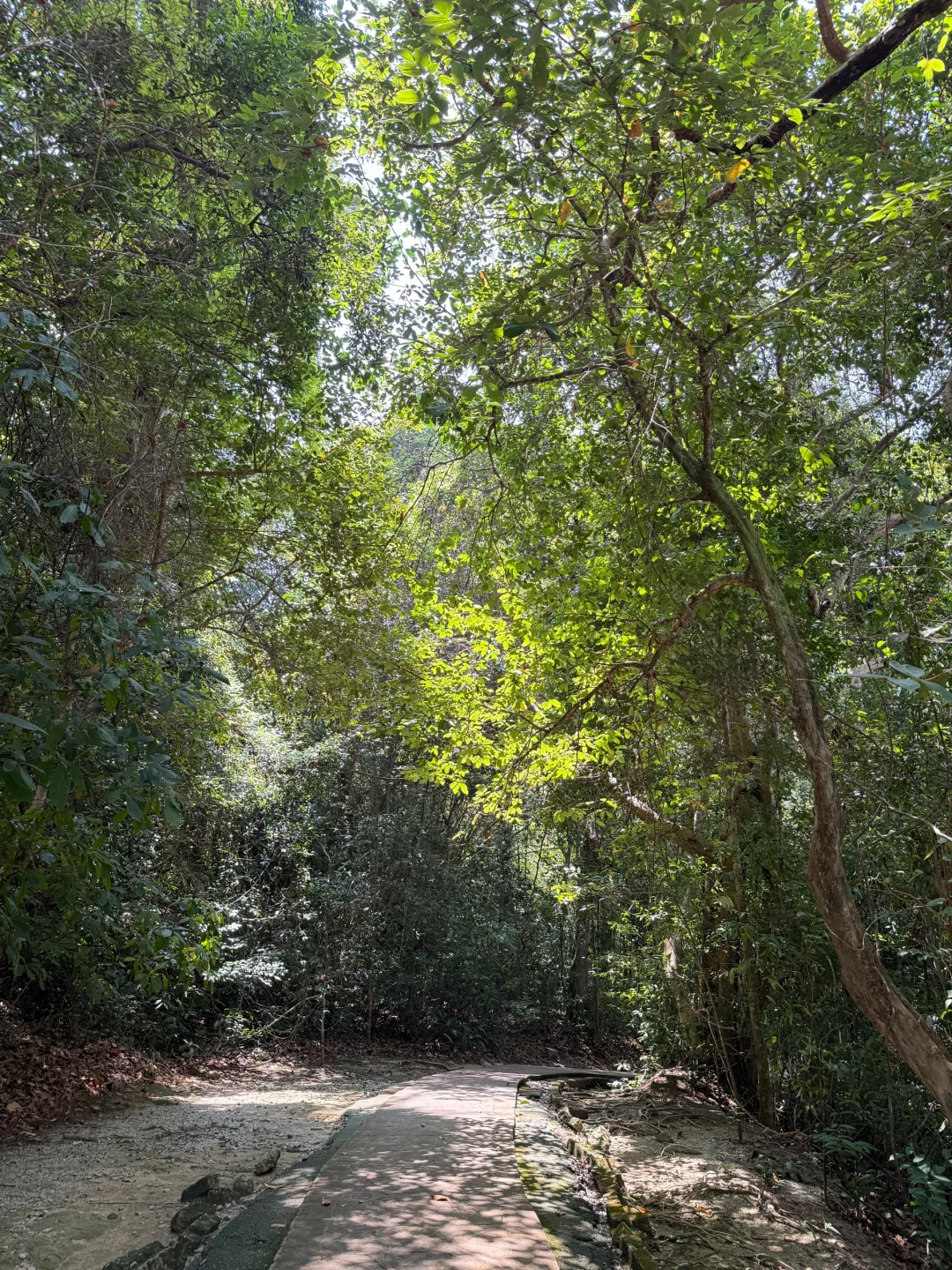 喜欢大自然氧吧必去槟城国家公园🏞️