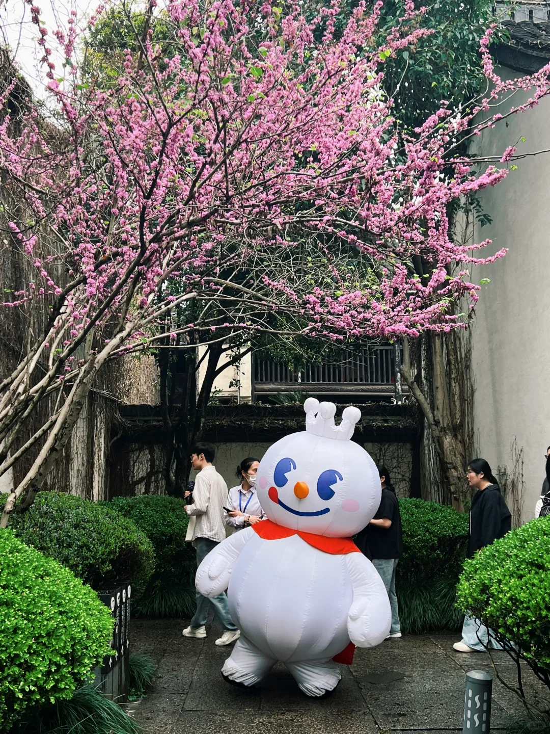 绍兴 鲁迅故里 阳明故居 徐渭艺术馆