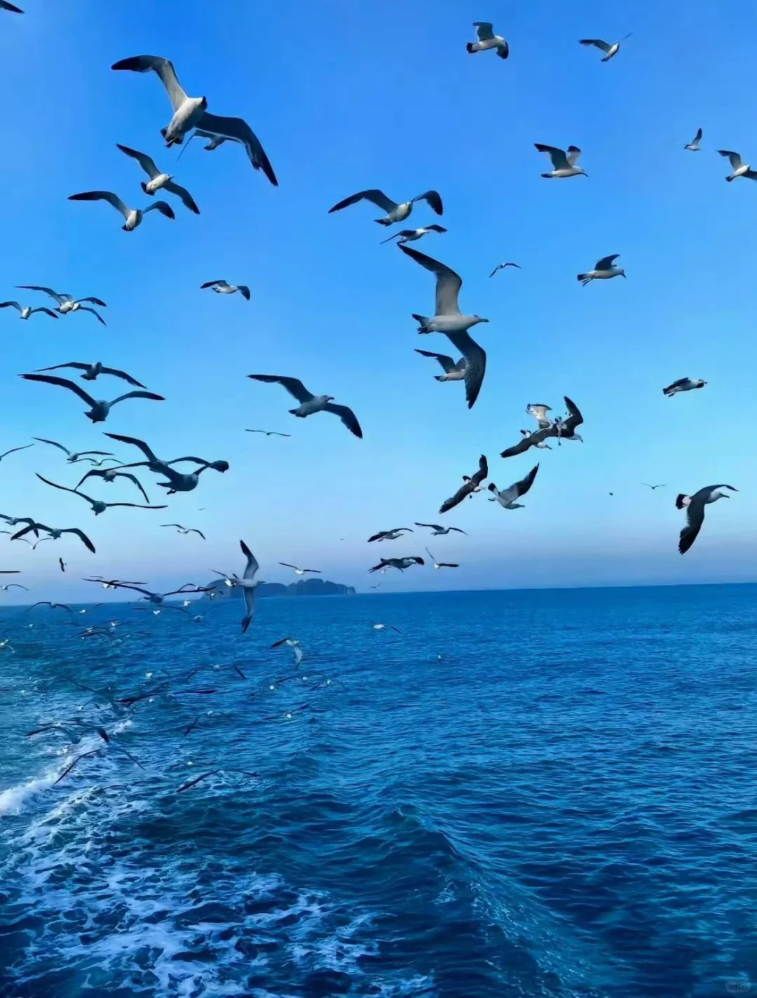 ✨威海✨的美，💕你只有亲身体会才知道！💕