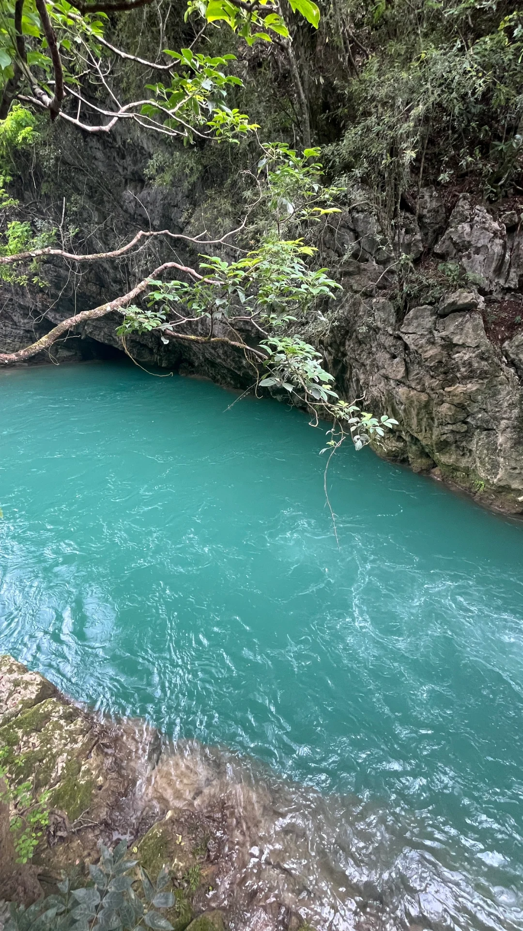 大暴雨后的小七孔 阴天实拍无滤镜 实况的美