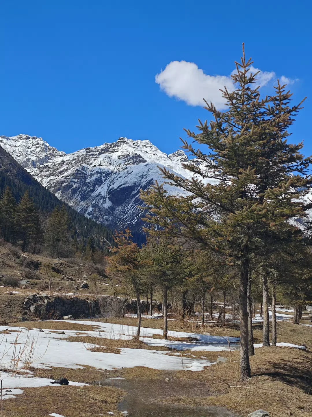 吹爆！入住了四姑娘山一家有温度的民宿！！