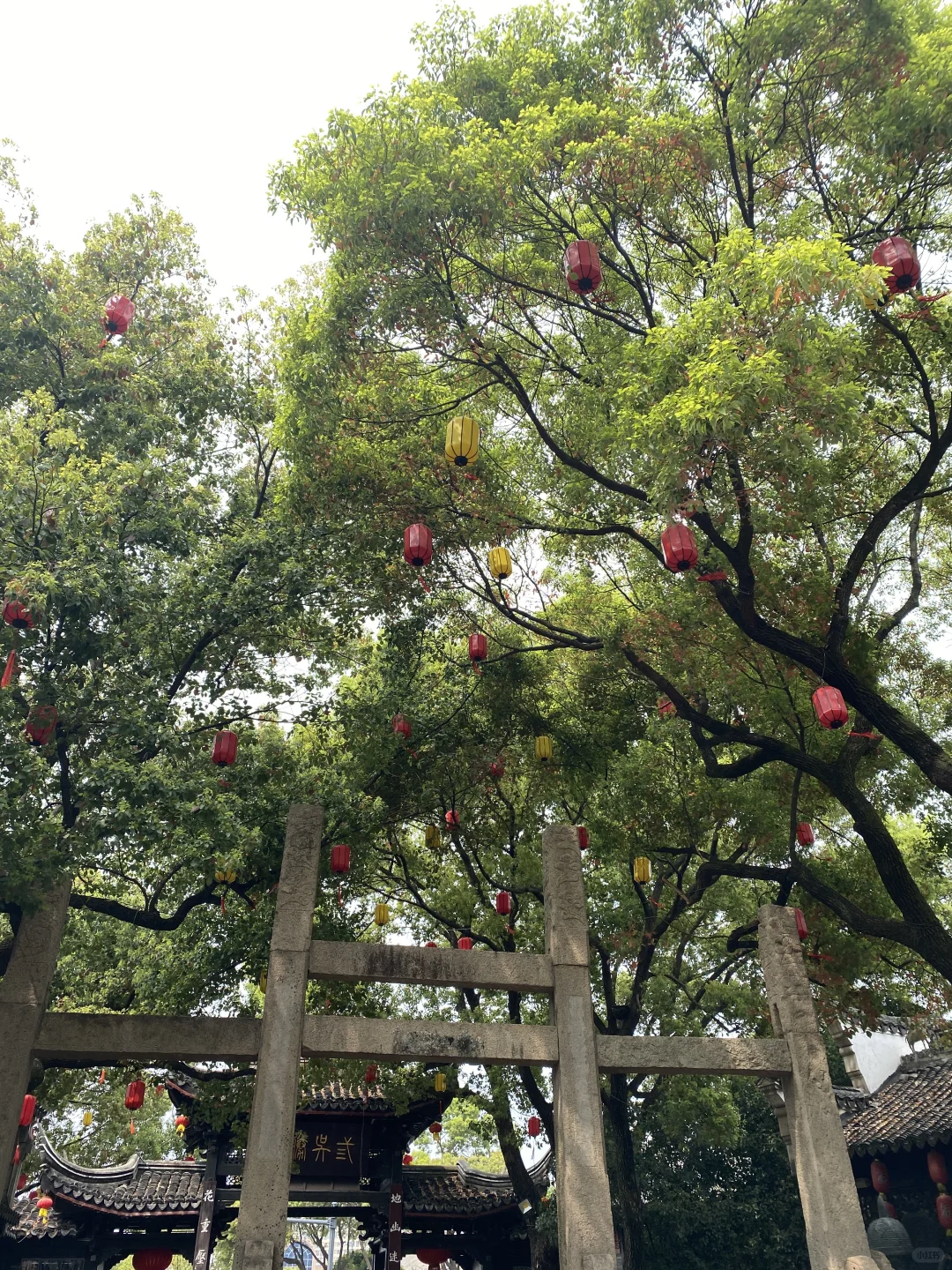 📍江苏 • 无锡