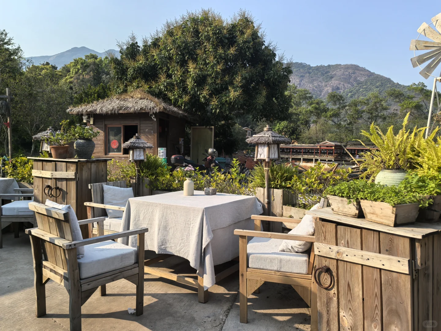 广东版的有风小院/现实中的莫奈花园