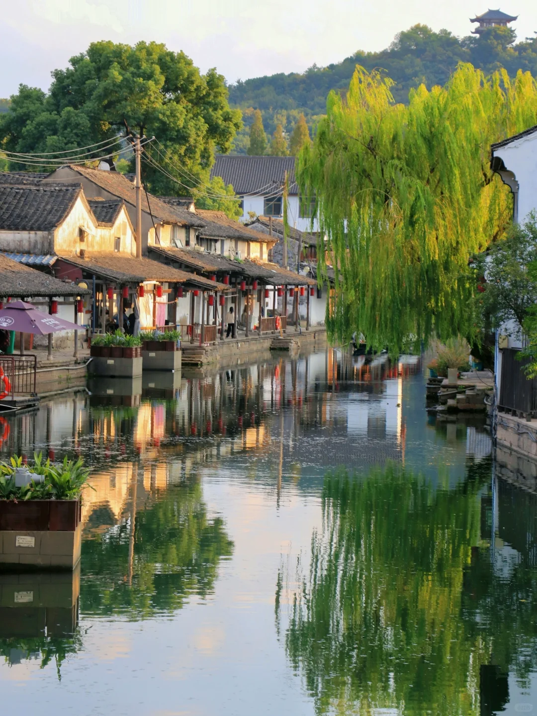 下个月的绍兴，是古人诗里的真江南～