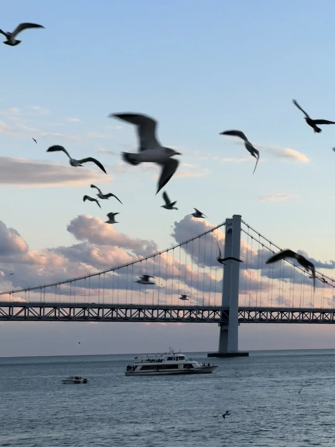 淡季游大连，简直不要太爽！攻略奉上😎
