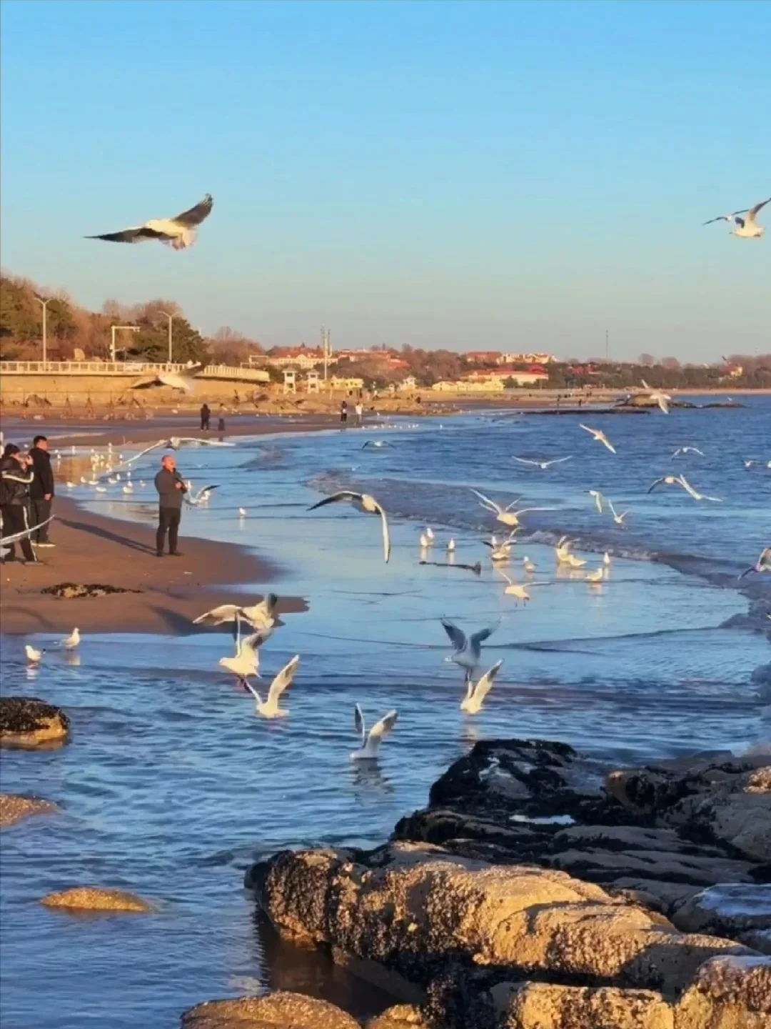 听劝！🔥清明来秦皇岛的姐妹一定要注意！