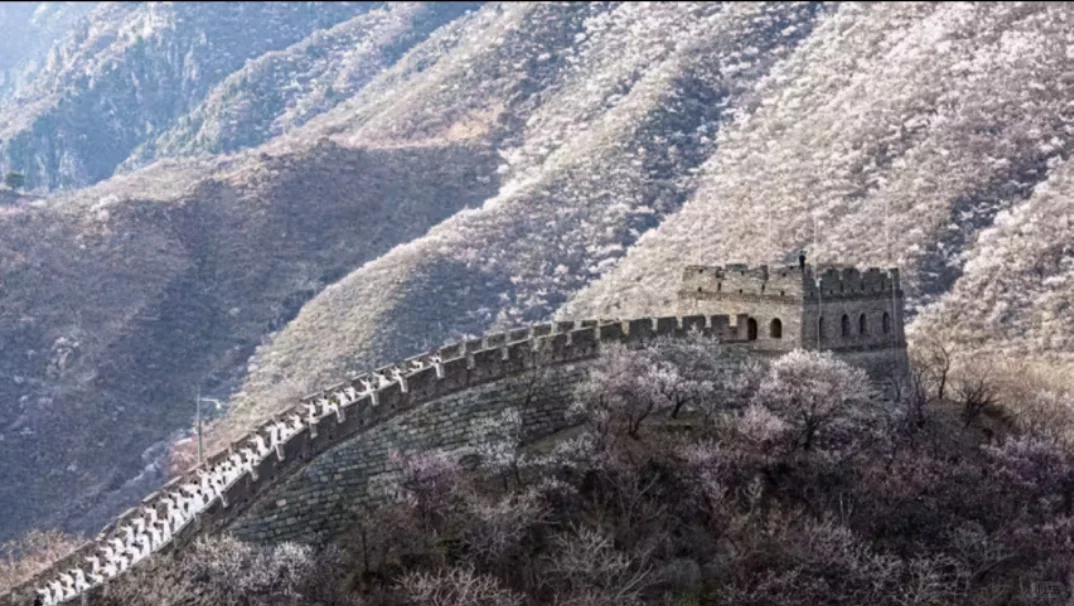 慕专线直通车保姆级攻略来啦📣