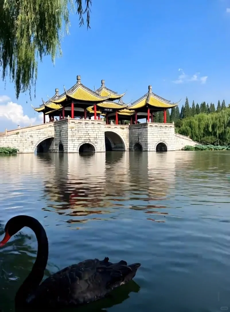 春日花约13｜江苏扬州✨如诗如画瘦西湖