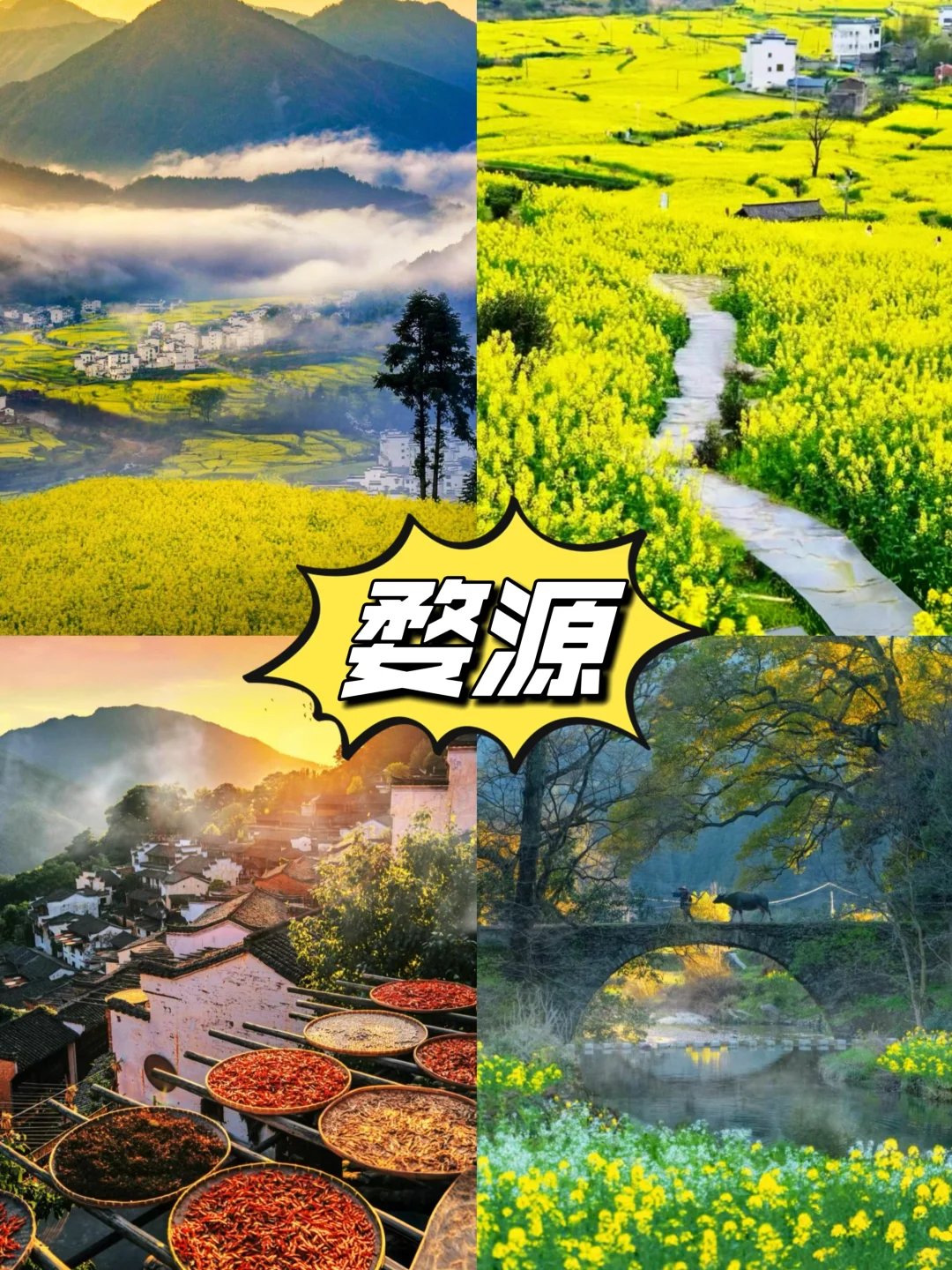🌸适合春天小住两三天六个美丽城市🌸