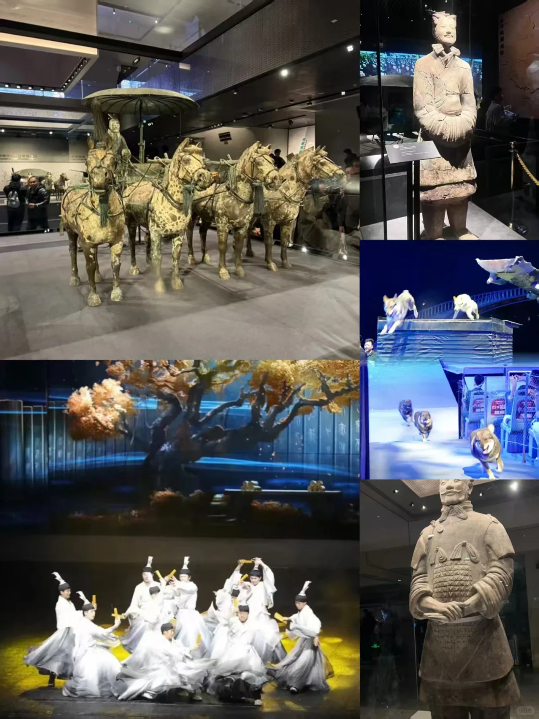 兵马俑+丽山园+驼铃传奇✅300+💰