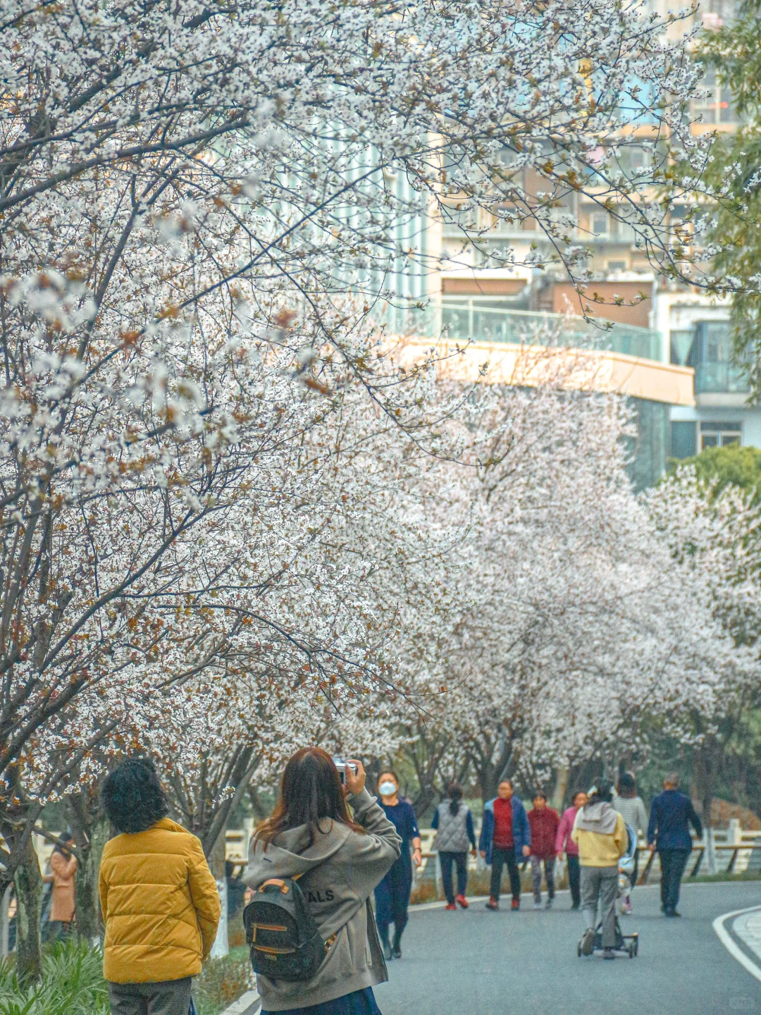 一开始觉得太古里已经很好逛了。。。。。