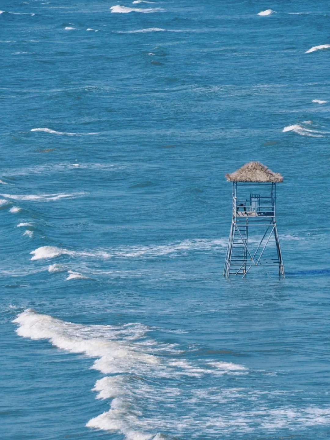 听劝！🔥清明来秦皇岛的姐妹一定要注意！