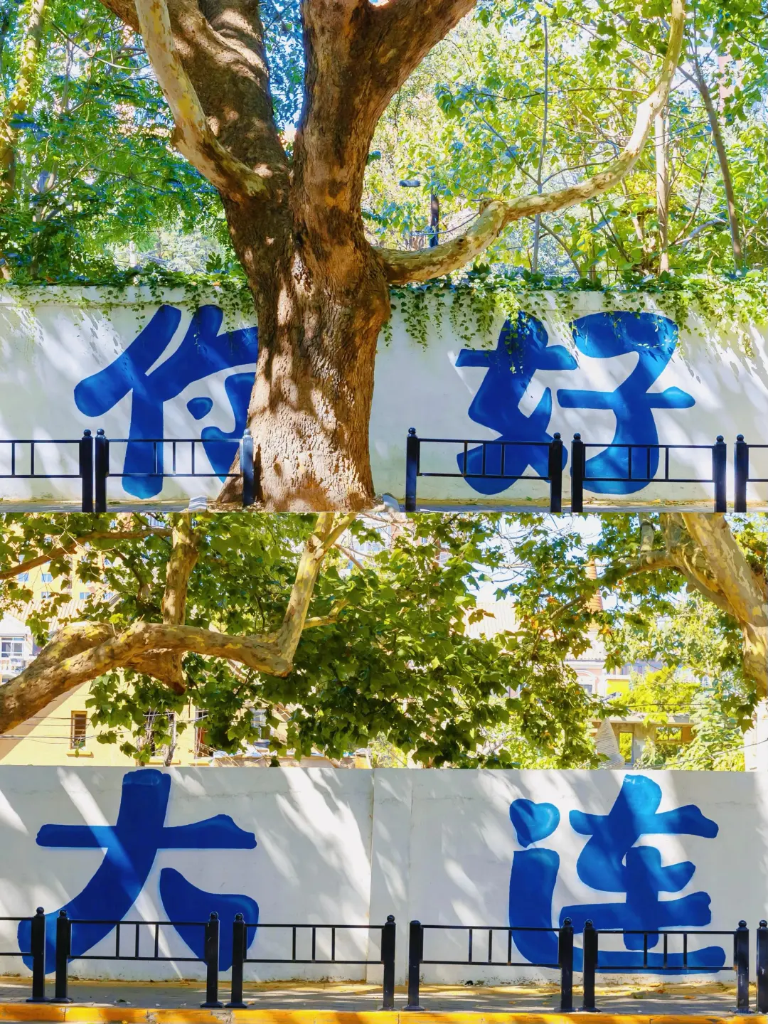 淡季游大连，简直不要太爽！攻略奉上😎