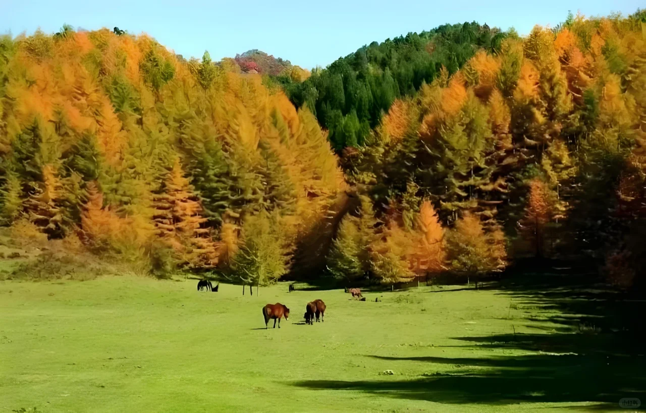 曾家山旅游度假胜地