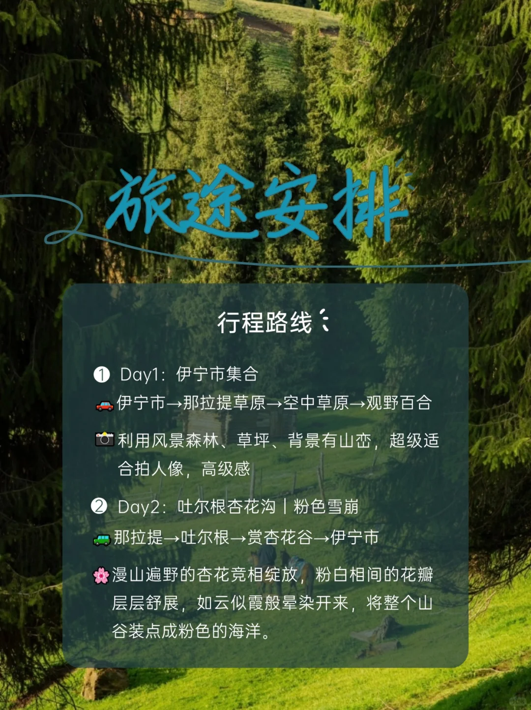 📸相机内存预警！这片草原美到犯规！