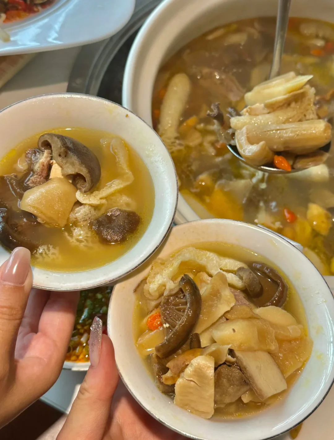 野生茶花鸡汤，这家店好评TOP1！