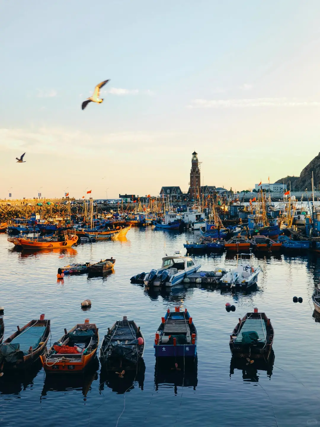 淡季游大连，简直不要太爽！攻略奉上😎