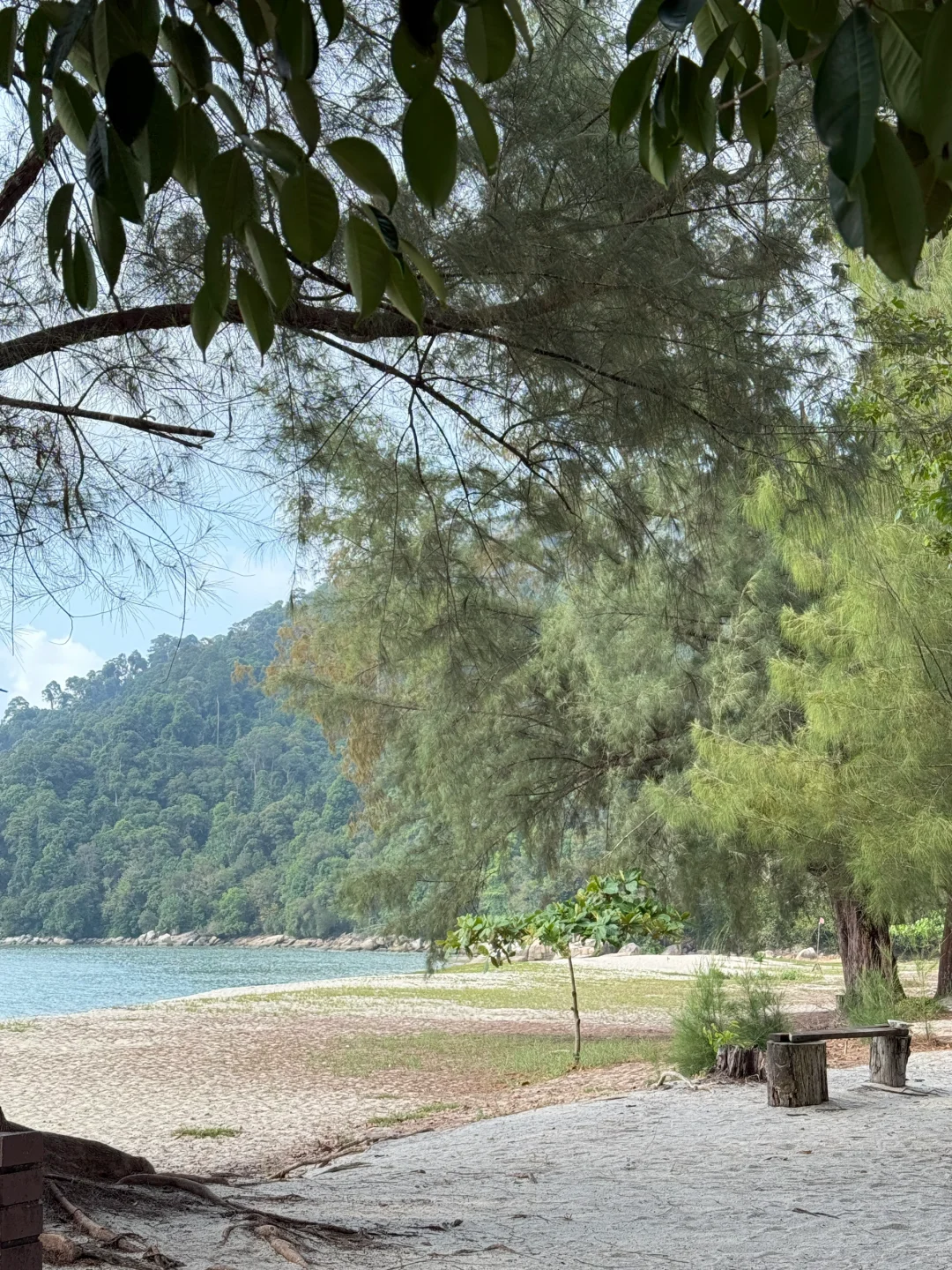 喜欢大自然氧吧必去槟城国家公园🏞️