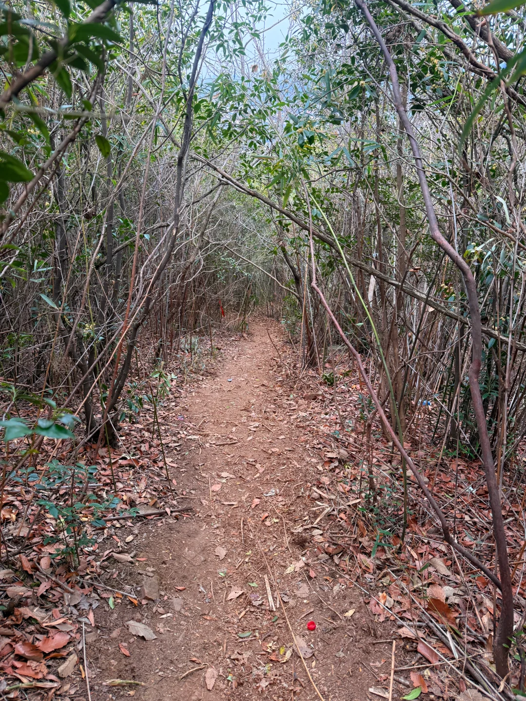 穹窿山爱心徒步｜苏州