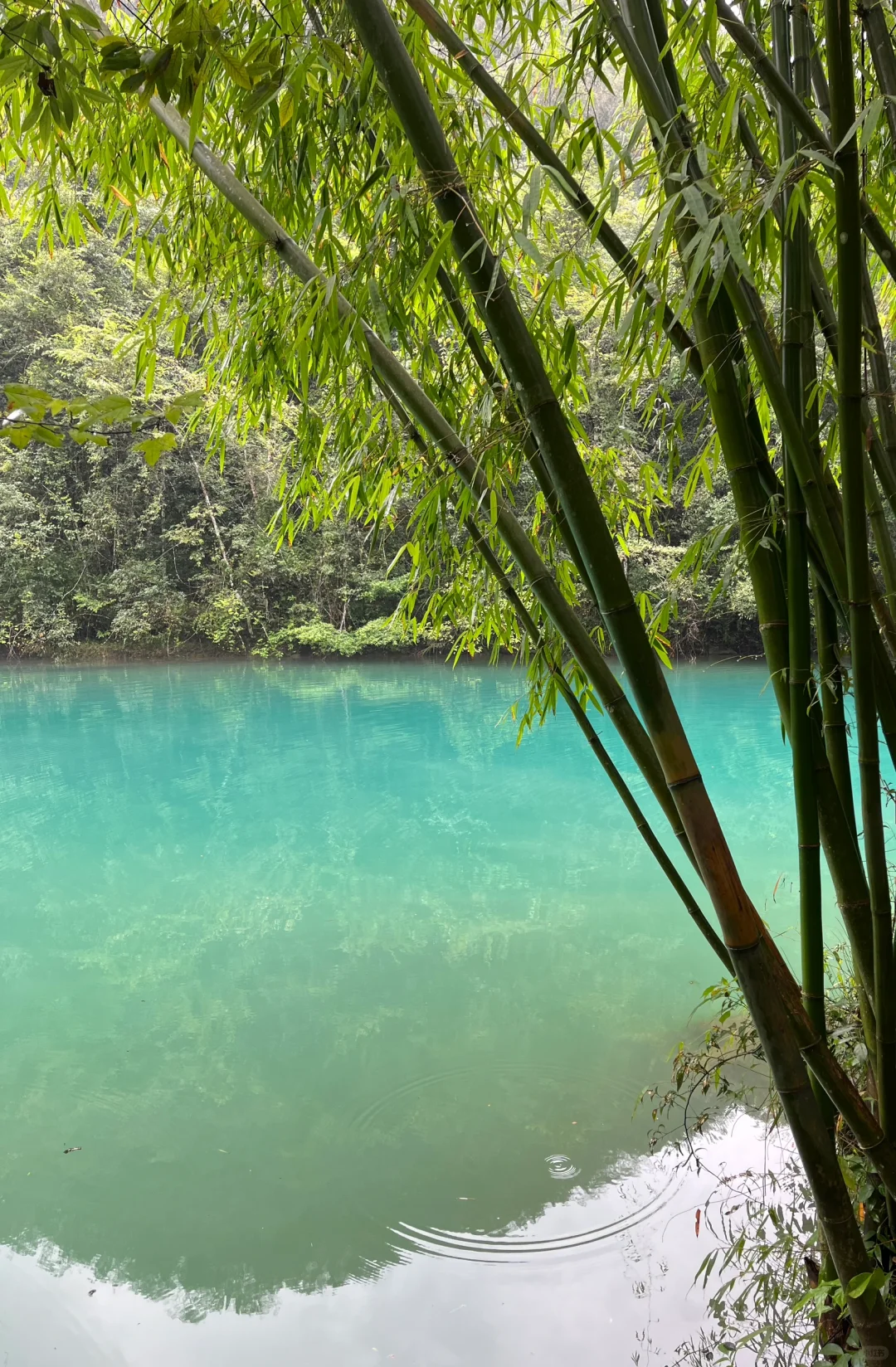 大暴雨后的小七孔 阴天实拍无滤镜 实况的美