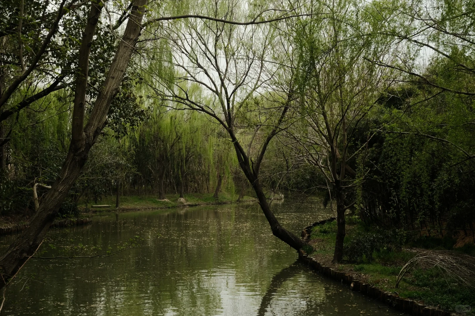苏州景点打卡 江苏同里国家湿地公园