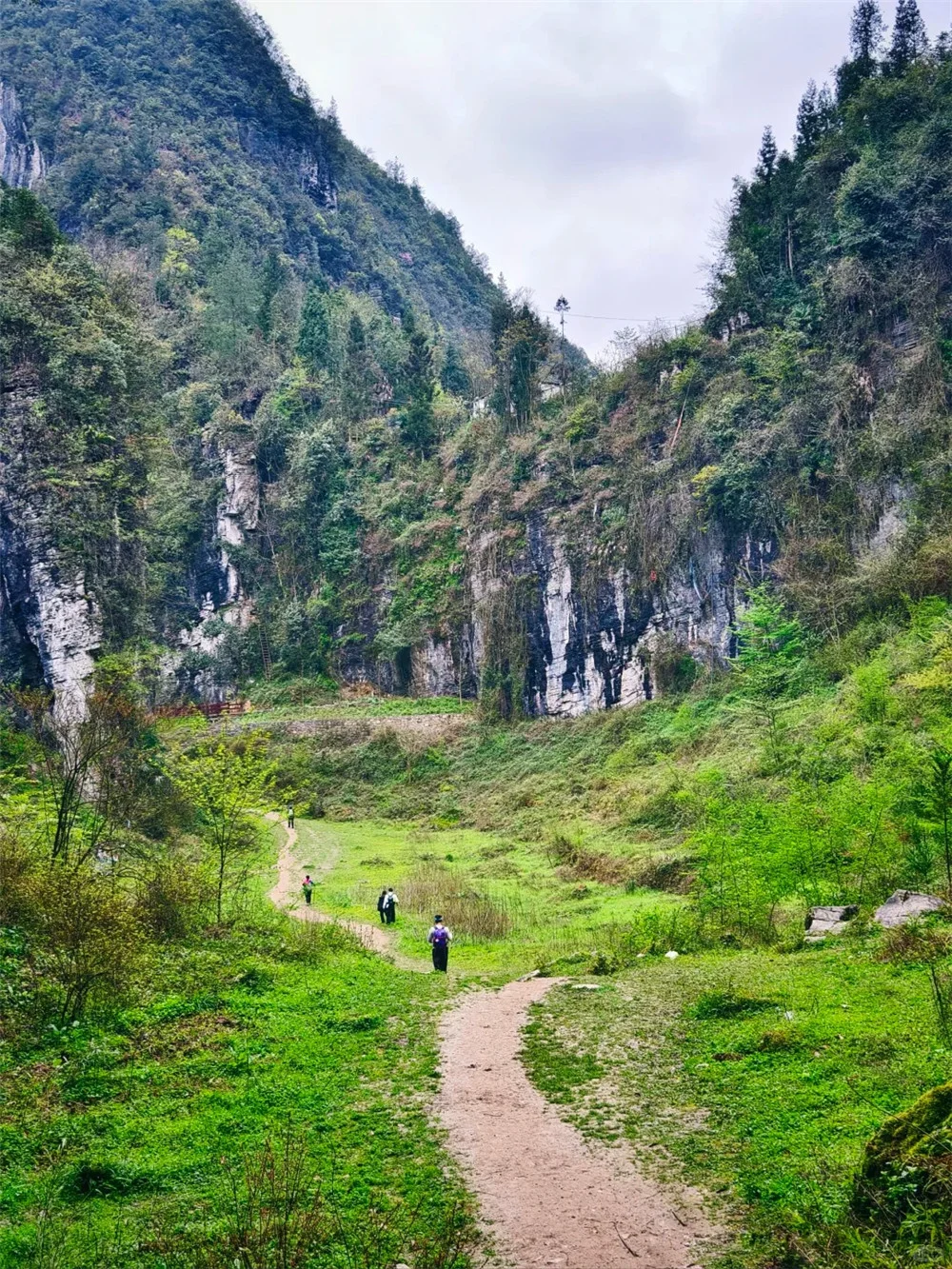 （已成行/多团期）4月4-8日：全景恩施