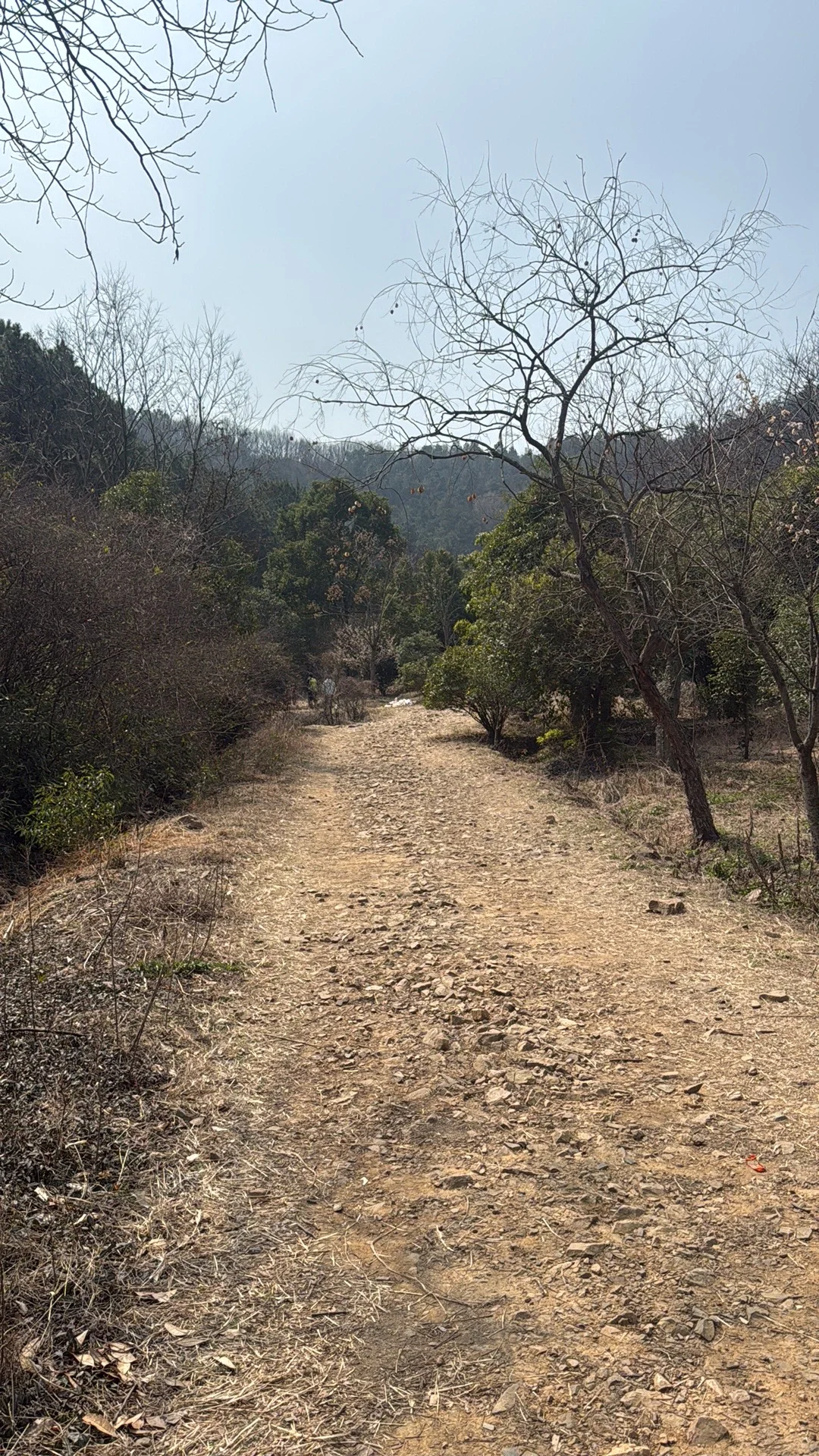 穹窿山爱心徒步｜苏州