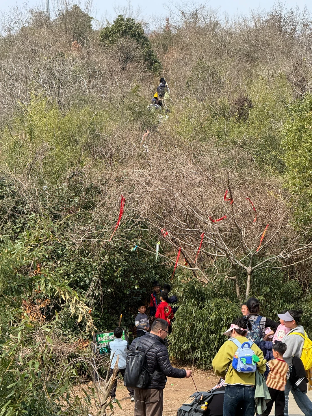 穹窿山爱心徒步｜苏州