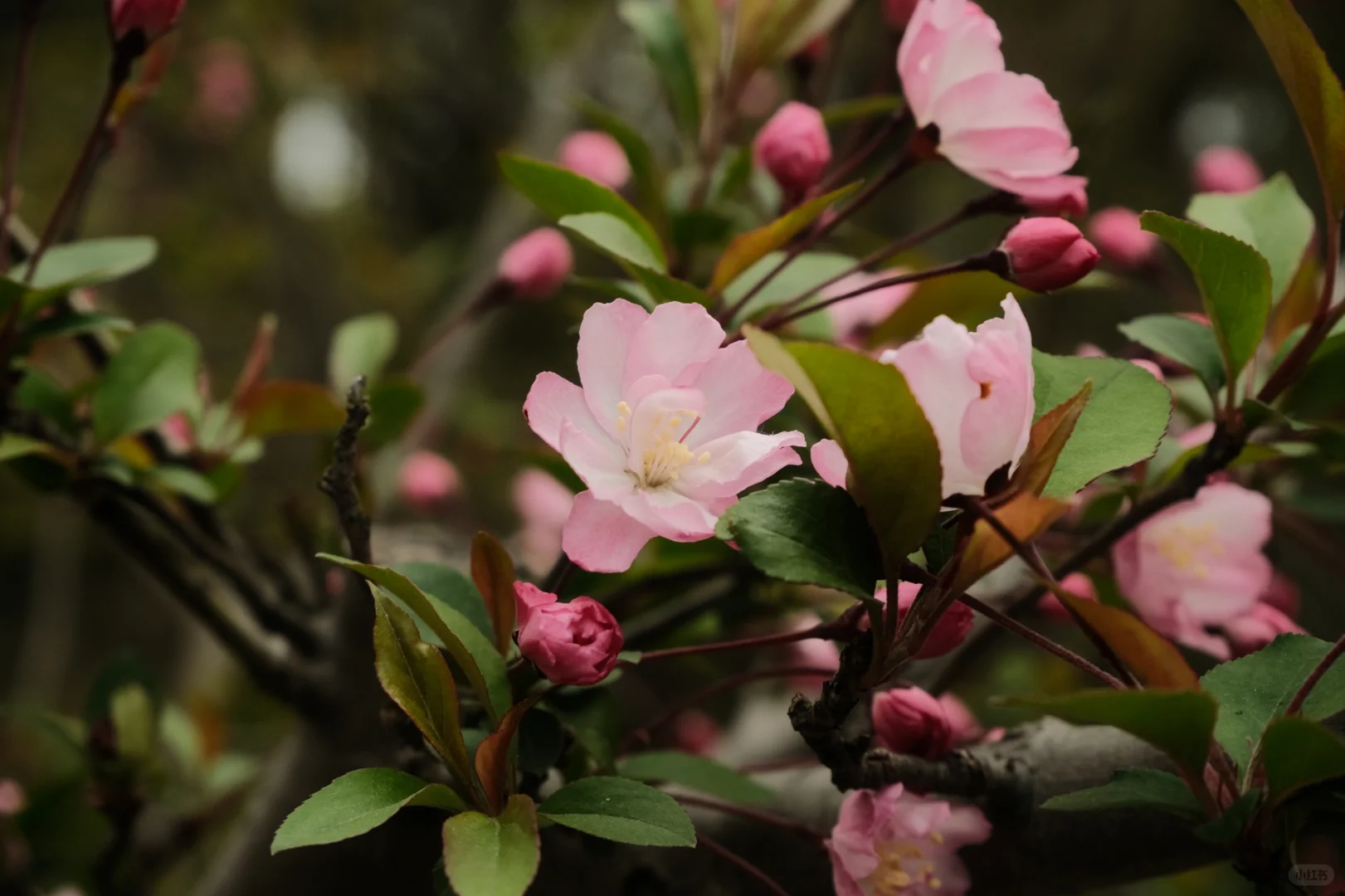 苏州景点打卡 江苏同里国家湿地公园