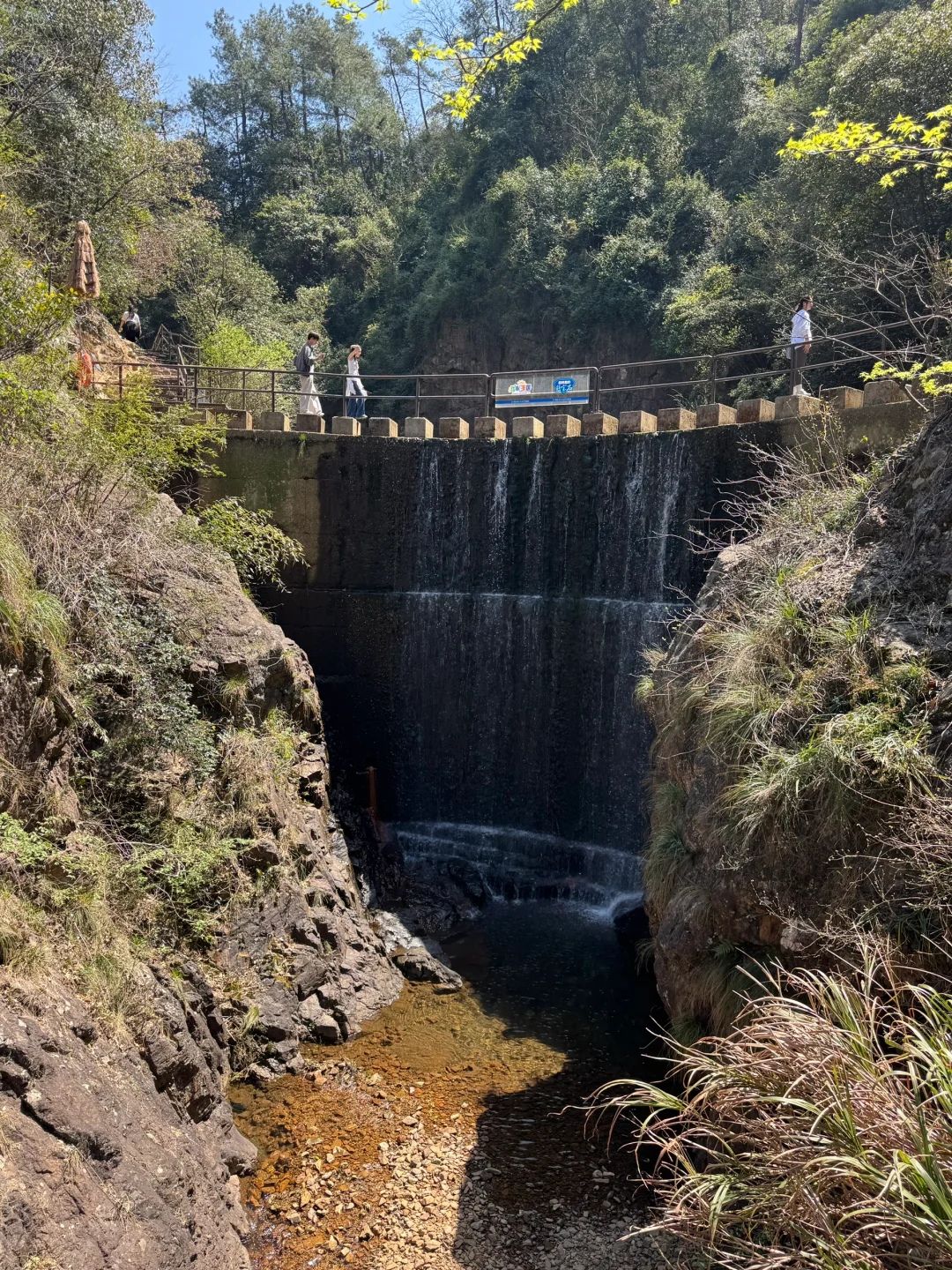 杭州🚗1h →⛰️小狗爬山初体验