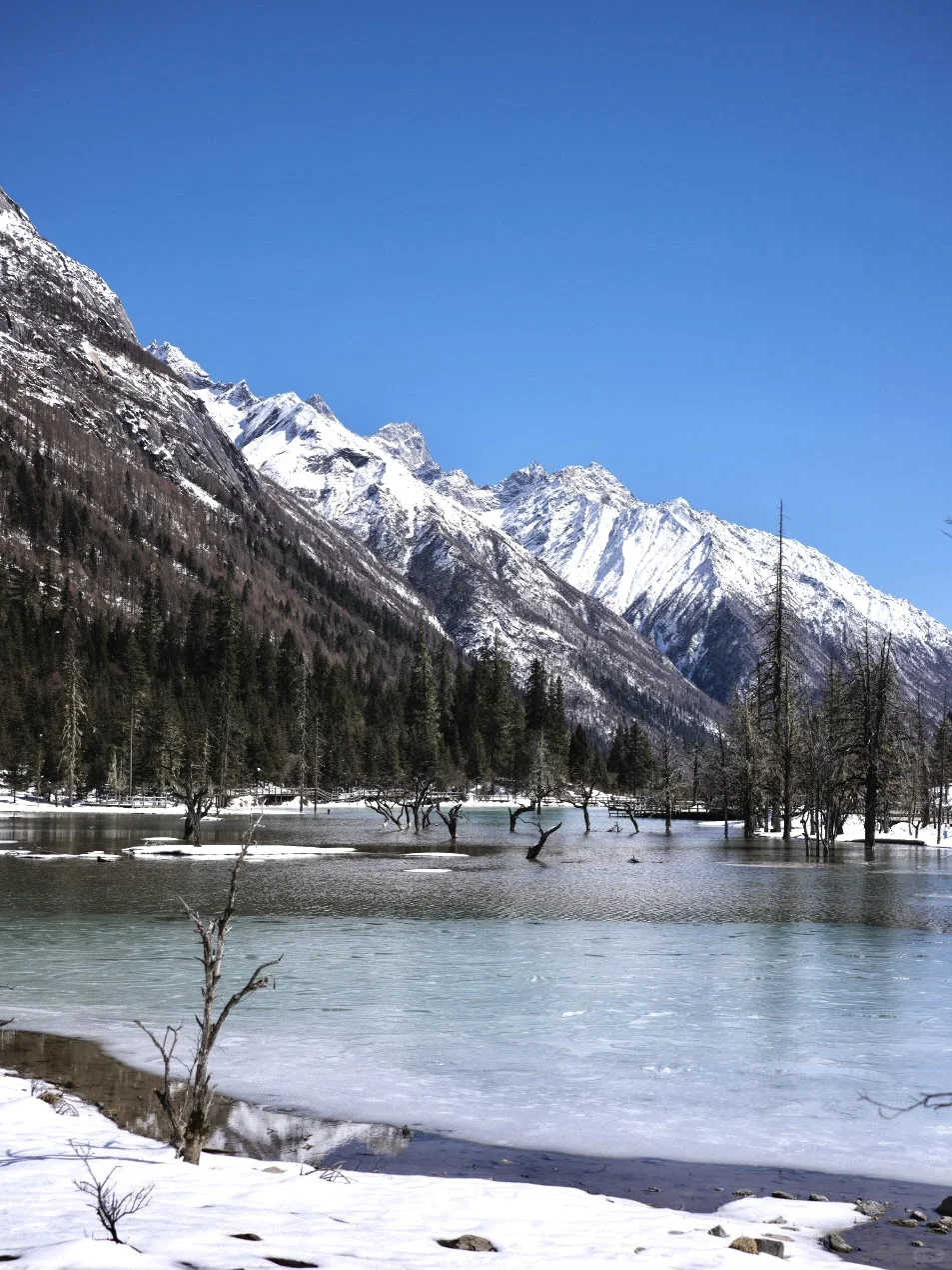 吹爆！入住了四姑娘山一家有温度的民宿！！