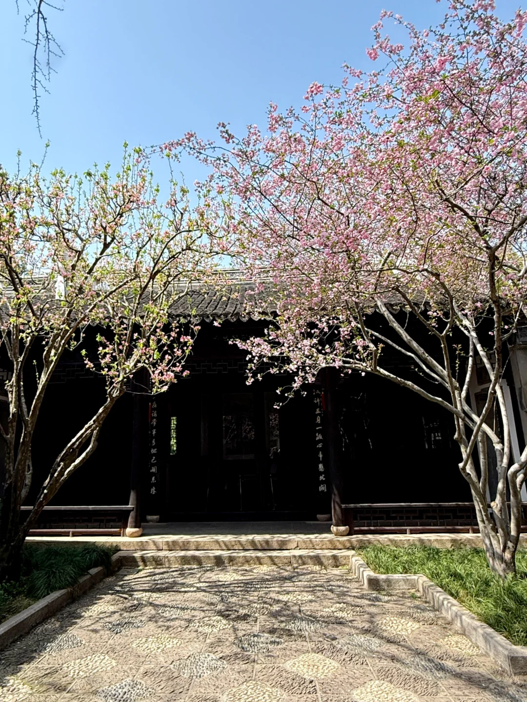 无锡亲子游｜春天的惠山古镇也太适合遛娃啦