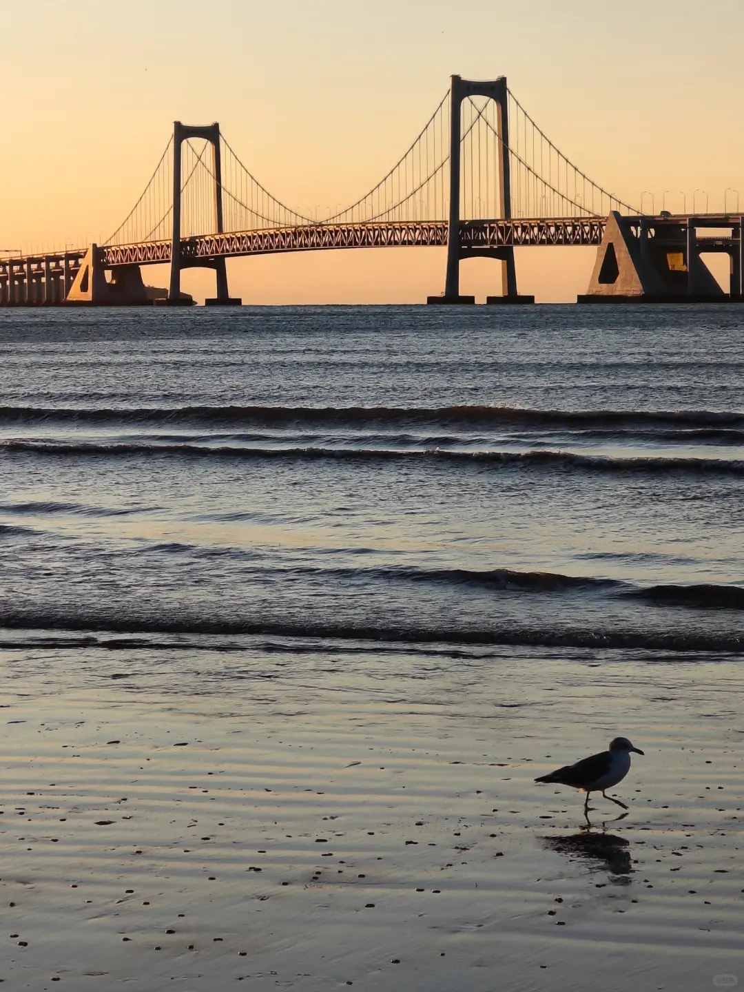 淡季游大连，简直不要太爽！攻略奉上😎