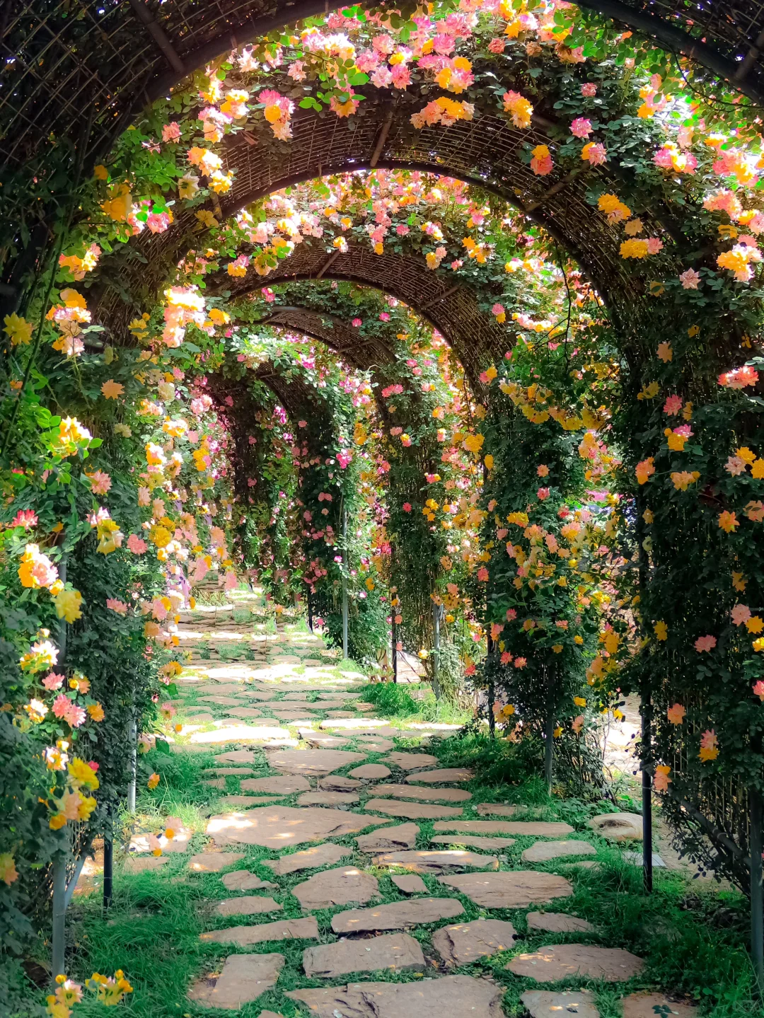 一开始觉得太古里已经很好逛了。。。。。