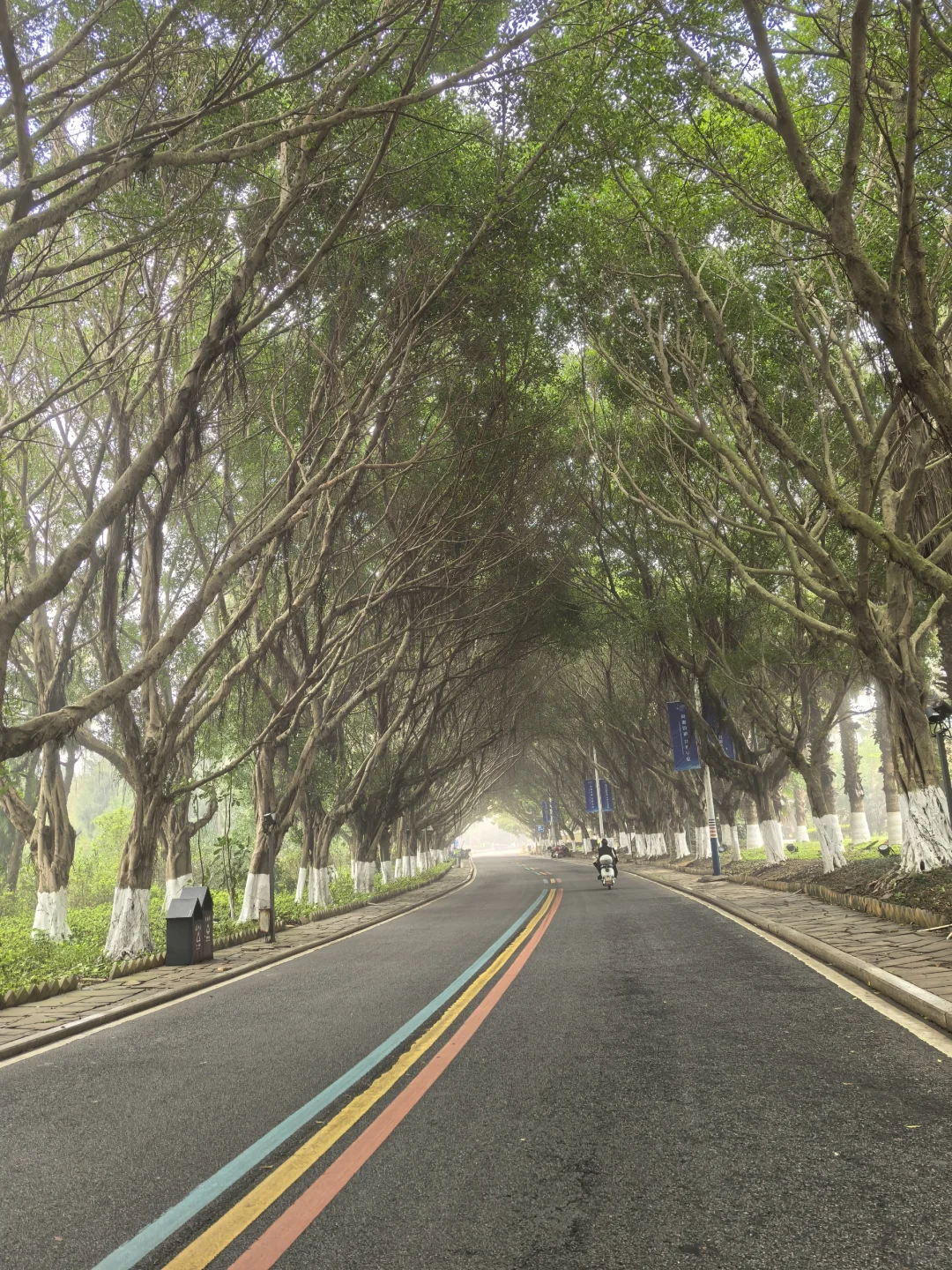 莆田︱刚从湄洲岛出来说点大实话（含交通）