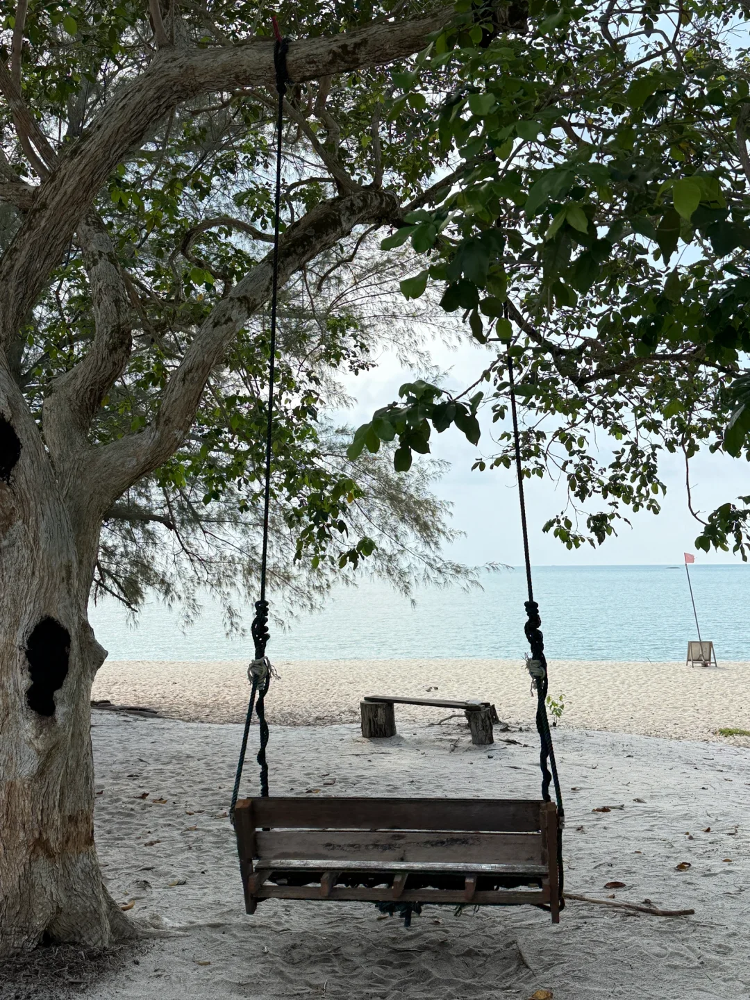 喜欢大自然氧吧必去槟城国家公园🏞️