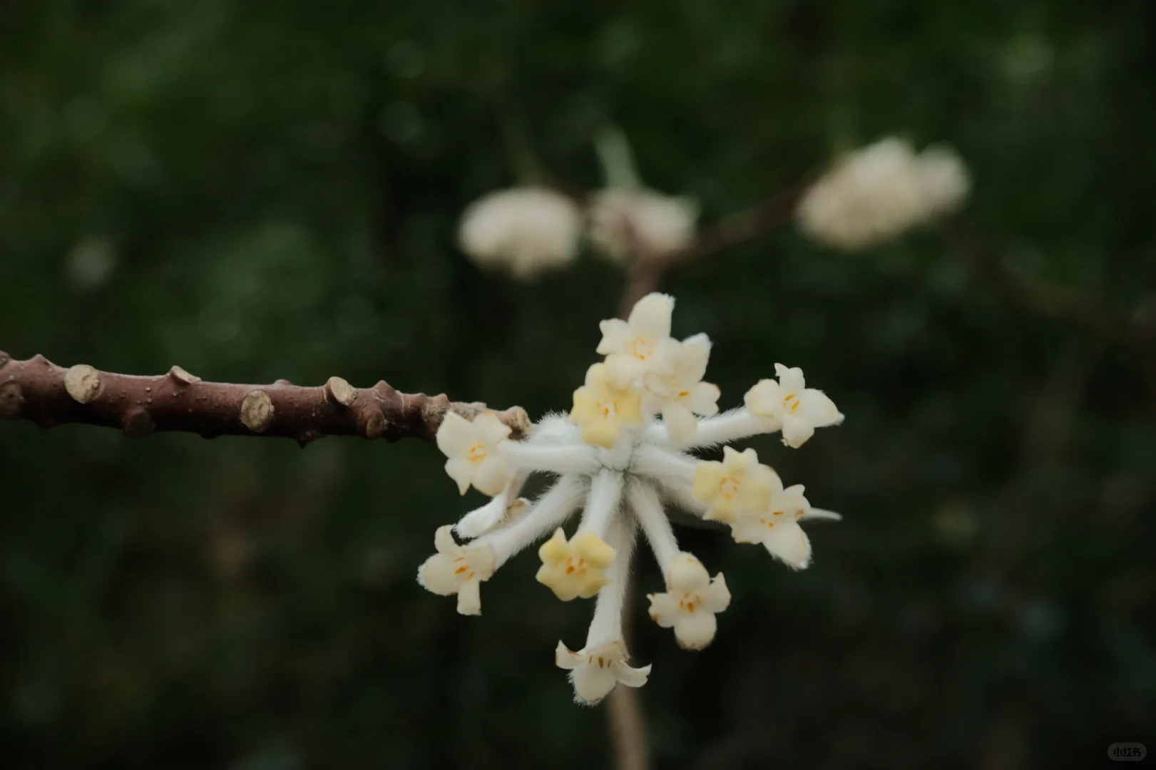 苏州景点打卡 江苏同里国家湿地公园