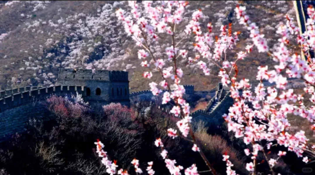 慕专线直通车保姆级攻略来啦📣