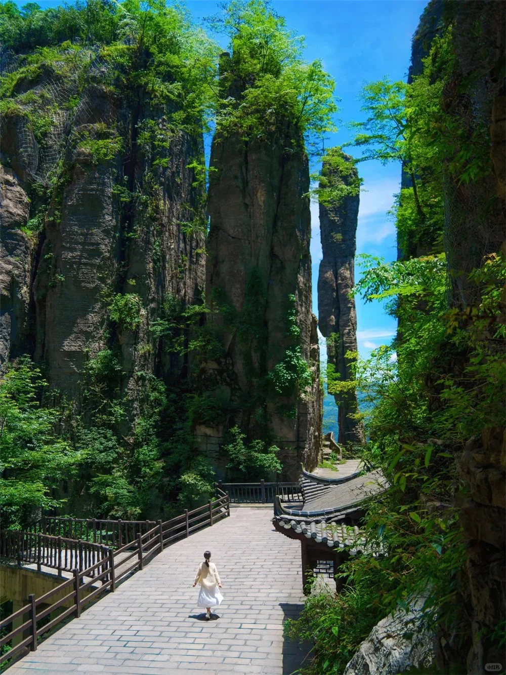 （已成行/多团期）4月4-8日：全景恩施