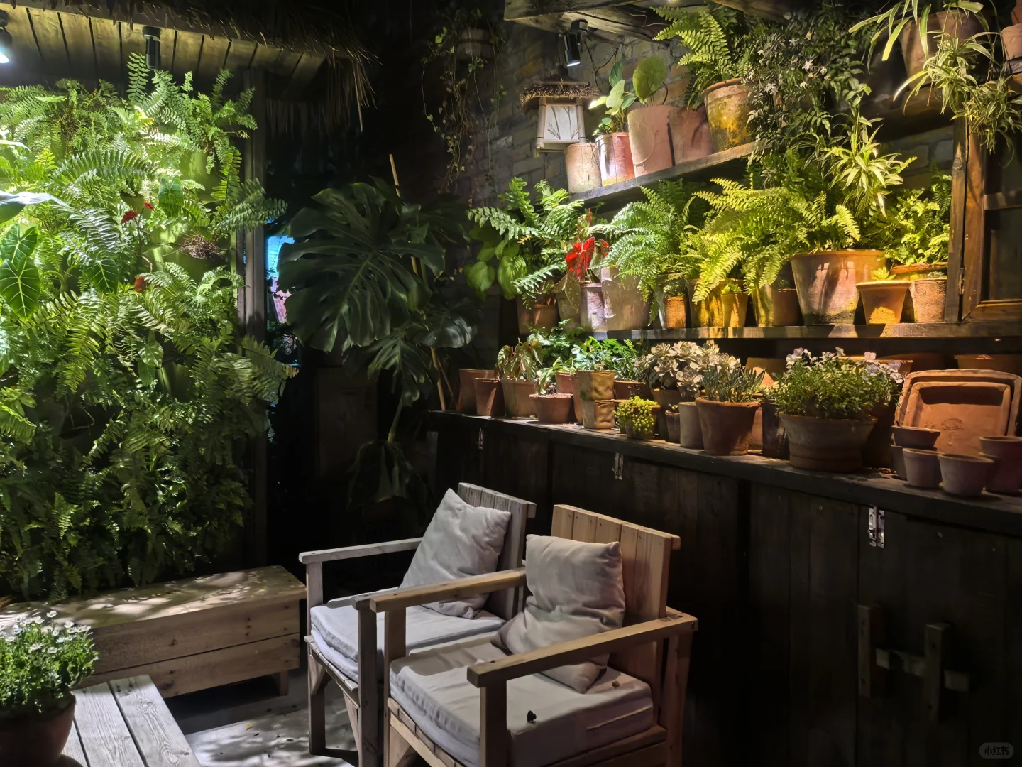 广东版的有风小院/现实中的莫奈花园