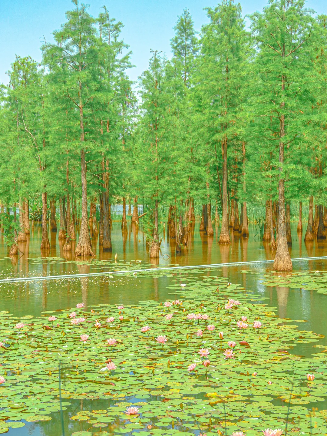 一开始觉得太古里已经很好逛了。。。。。