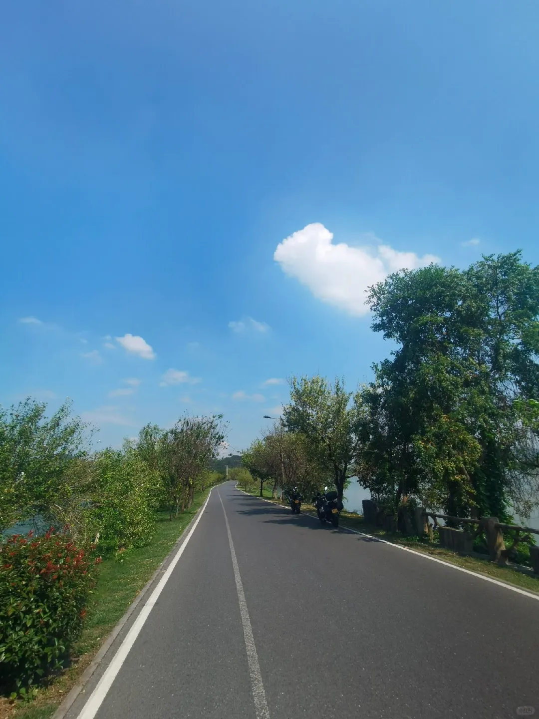 江浙沪周边游|4⃣️条春日路线,周末出发