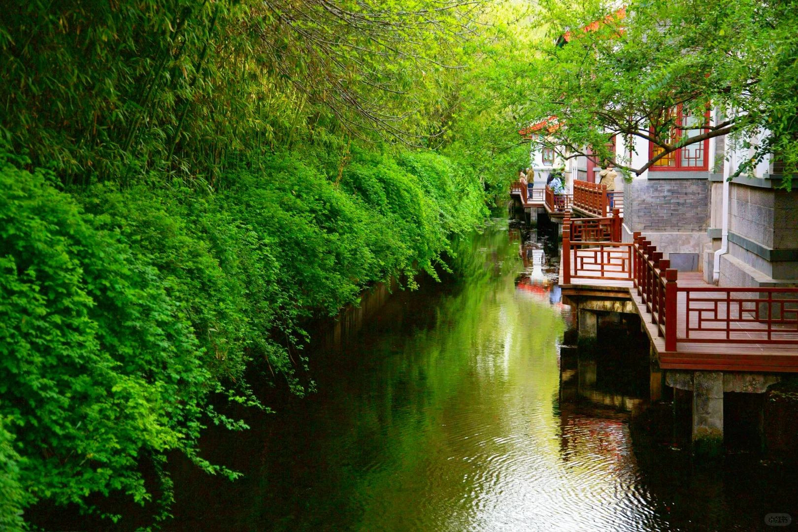 ❤️你好，趵突泉！