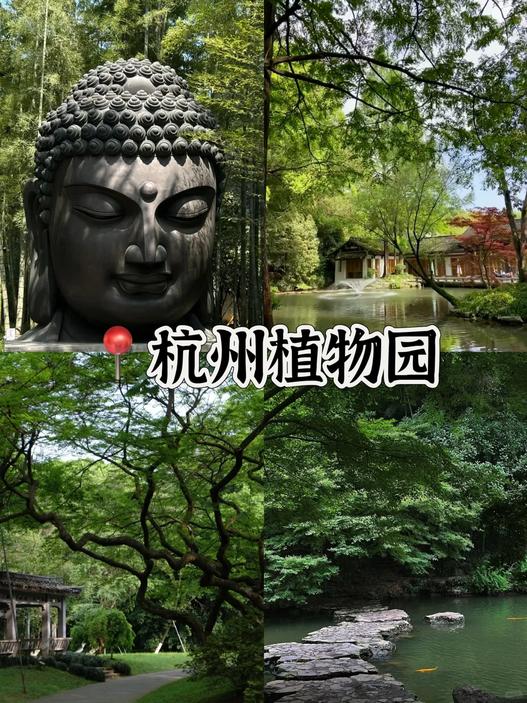 🍃来杭州必打卡🔥的十大景点游玩攻略‼️