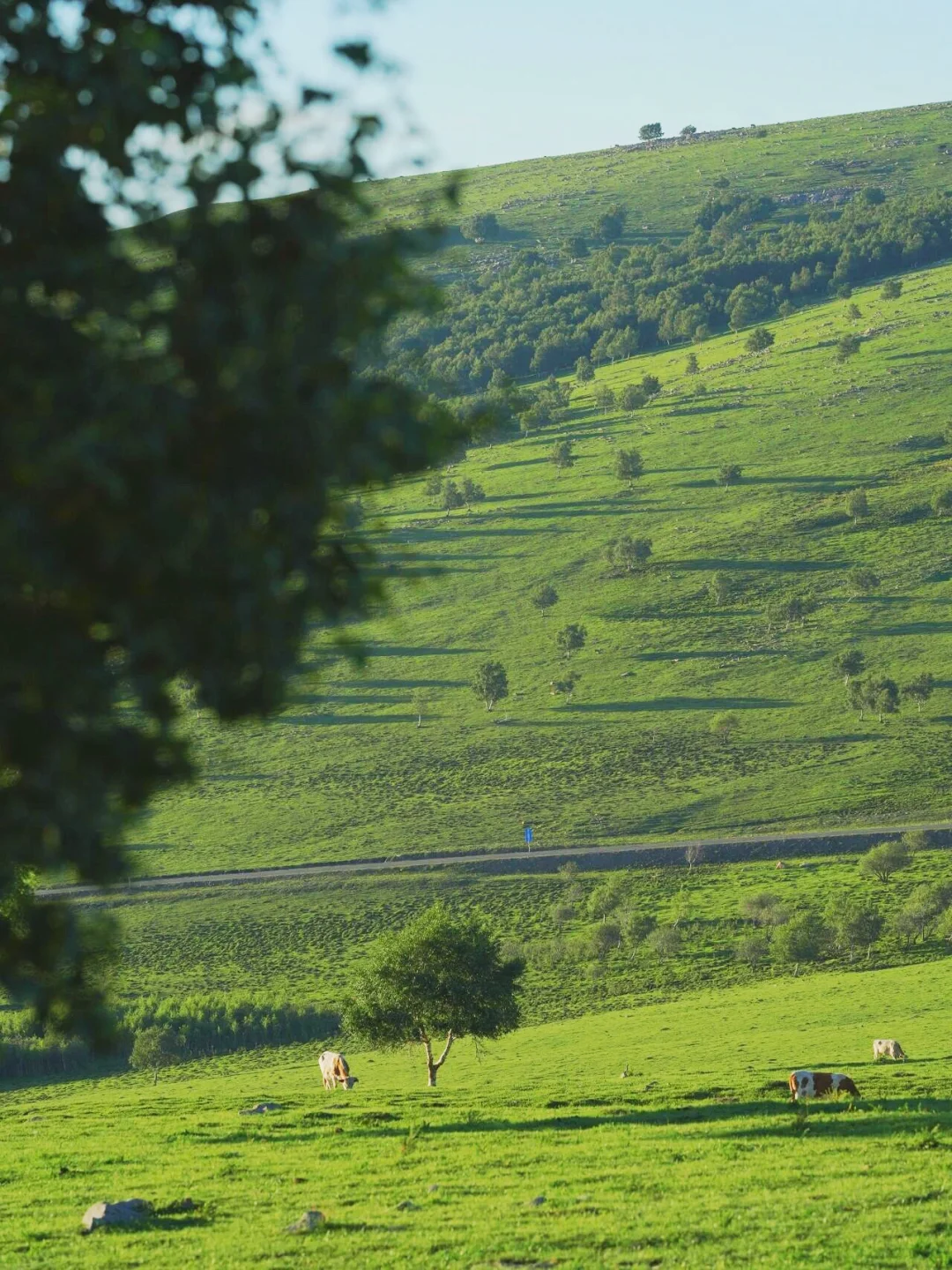 五一出游必去‼️北京周边这❼个小众旅行地