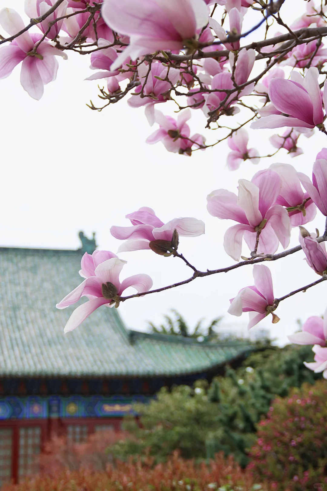 邯郸只有这里配的上“春和景明”