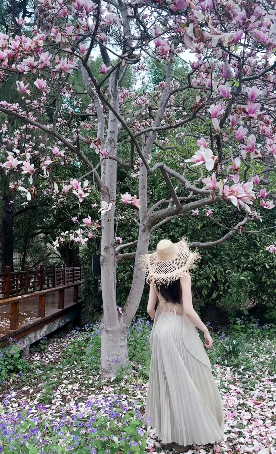 东湖🩵13元门票分分钟拍出人生照片